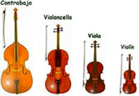 violin-viola-chelo-contrabajo